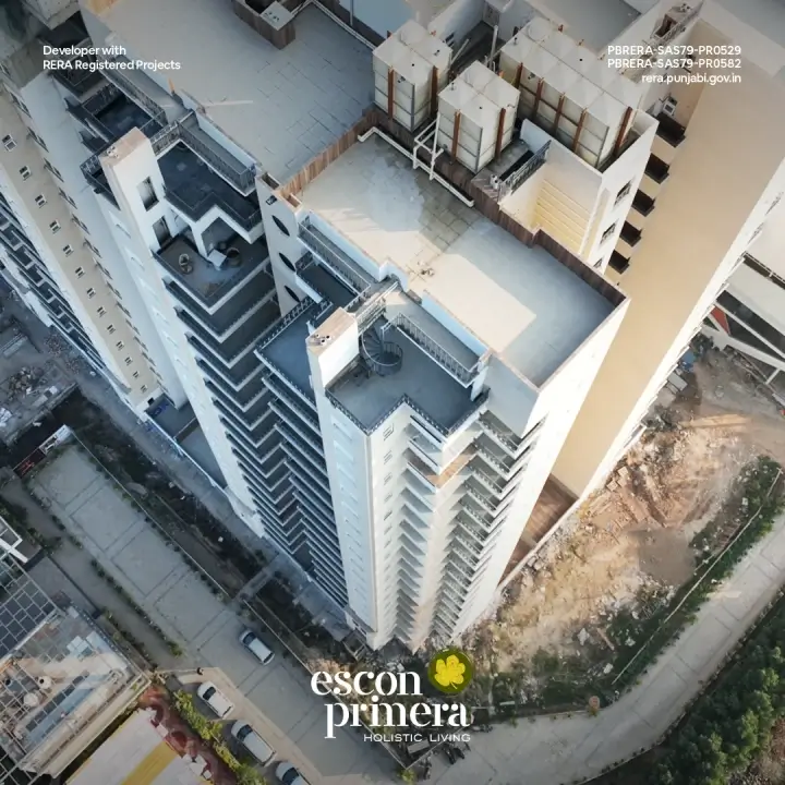 Escon Primera Gallery View 2