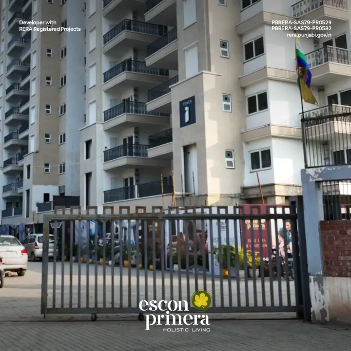 Escon Primera Gallery View 4