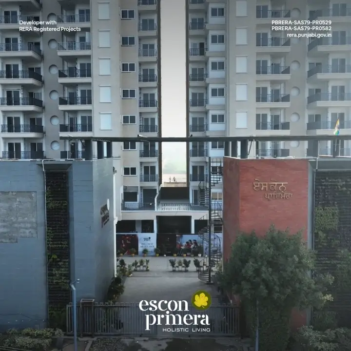 Escon Primera Gallery View 5