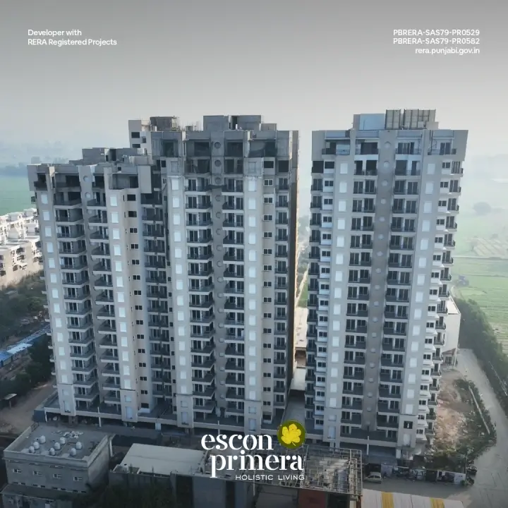 Escon Primera Gallery View 6